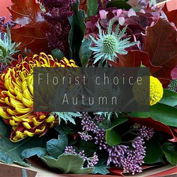 Autumn florist Choice