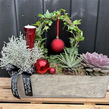 Planted Tablet decoration red