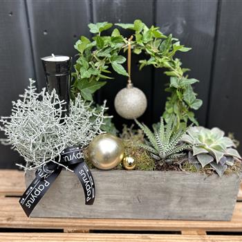 Planted Tablet decoration gold