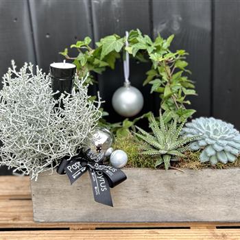 Planted Tablet decoration silver