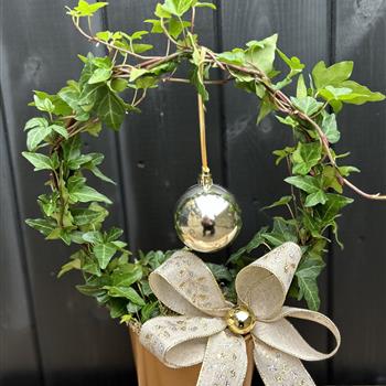Ivy hoop in ceramic pot gold 
