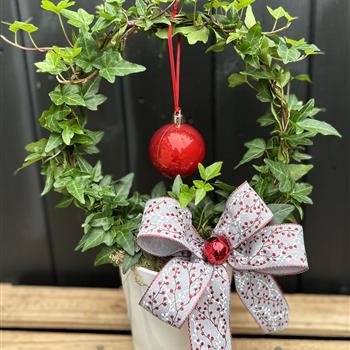 Ivy hoop in ceramic pot red