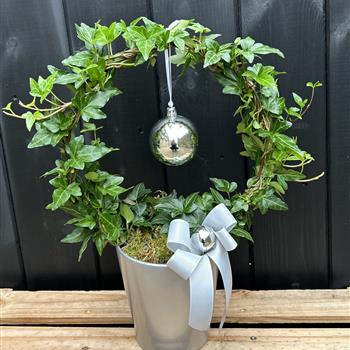 Ivy hoop in ceramic pot silver