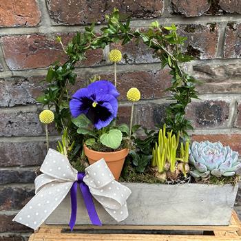 Mixed long wooden spring planter