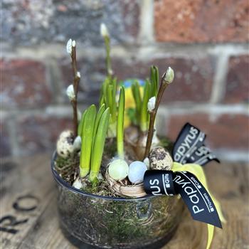 Tete et tete glass bowl