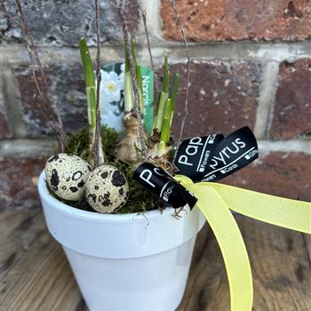 Tete et tete in ceramic pot