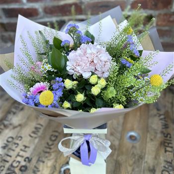 Spring is all around 