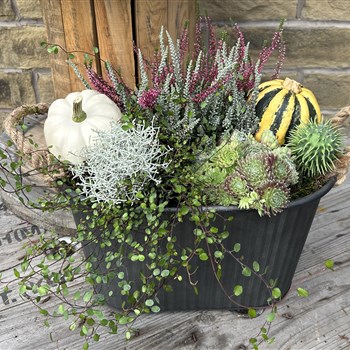 Autumn metal large door step planter