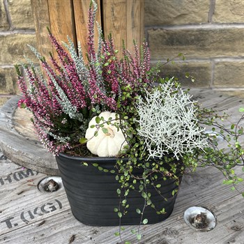 Autumn metal medium door step planter