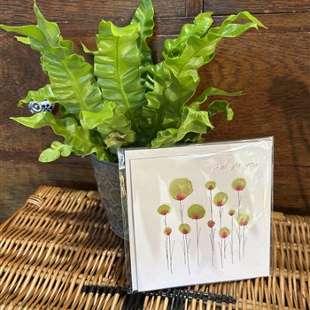 Hand painted seed pods
