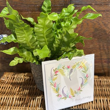 Hand painted heart garland